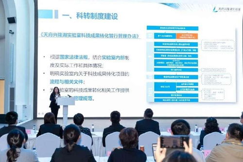 推動(dòng)更多科技成果就地轉(zhuǎn)化 信息技術(shù)咨詢(xún)服務(wù)助力國(guó)家隊(duì)實(shí)驗(yàn)室與大裝置融合發(fā)展