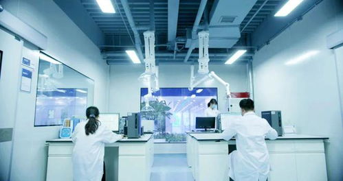 信息技術(shù)咨詢(xún)服務(wù)助力企業(yè)應(yīng)對(duì)阿斯巴甜2B類(lèi)致癌物新規(guī)